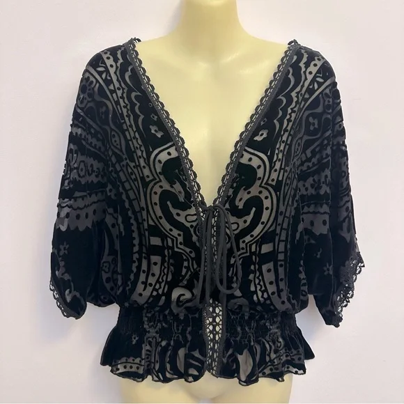 Johnny Was Black Velvet Semi Sheer Blouse with Embroidered Detailing - Picture 1 of 8